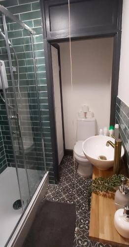 a bathroom with a shower and a toilet and a sink at The Farrier in Cheltenham