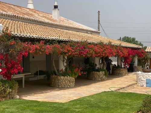 Taman di luar Quinta Verde Albufeira