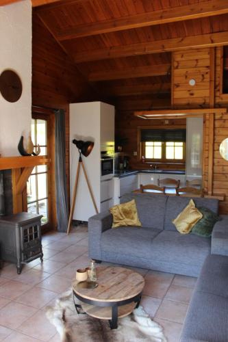 a living room with a blue couch and a table at De Genten 1, vakantiewoning met jacuzzi in Ermelo