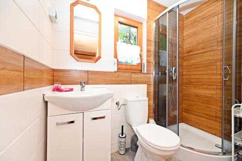 ein Bad mit einem WC, einem Waschbecken und einer Dusche in der Unterkunft Ranczo w Beskidach in Mienzebrosche