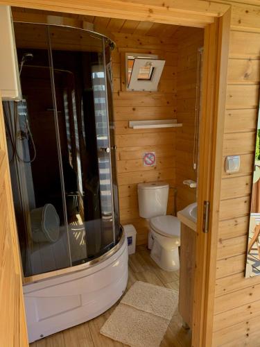a small bathroom with a shower and a toilet at Domki u Oli in Stegna