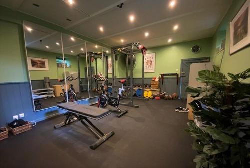 a room with a gym with bikes and a mirror at Granary at Kergudon Gîtes, family gîte with pool in Sizun