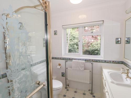 a bathroom with a shower and a toilet and a sink at The Cedars in Ambleside