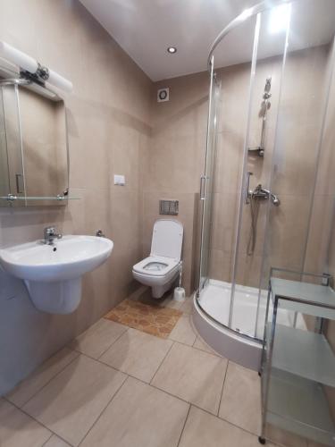a bathroom with a sink and a toilet and a shower at Apartamenty Piekary in Piekary Śląskie