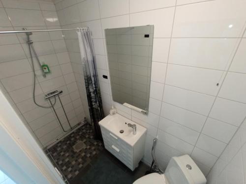 a bathroom with a shower and a toilet and a sink at Hagavik 8 in Växjö