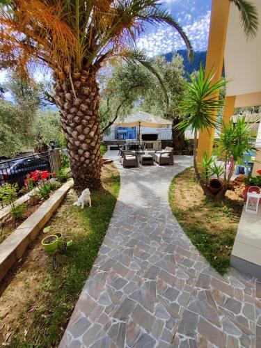 a palm tree in the middle of a walkway at Studios Apollon in Chrysi Ammoudia