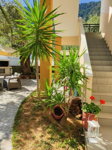 a courtyard with two palm trees in a house at Studios Apollon in Chrysi Ammoudia