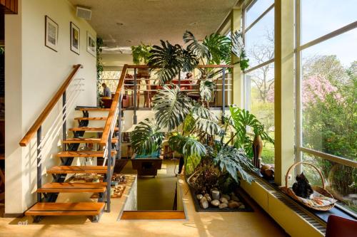 a room with stairs and potted plants at Pension Homeland in Amsterdam