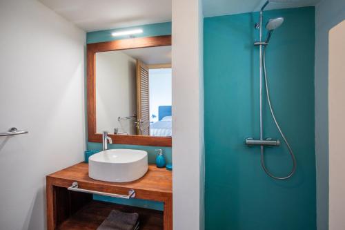 a bathroom with a sink and a mirror at Villa Coral Breeze in Willemstad