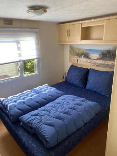 a large blue bed in a room with a window at RBR 232 - Beach Resort Kamperland in Kamperland