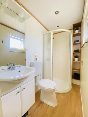 a bathroom with a shower and a toilet and a sink at Beach Resort Kamperland - 1653 in Kamperland