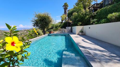 une piscine avec une fleur jaune à côté d'un bâtiment dans l'établissement Sorbier, à Corbara