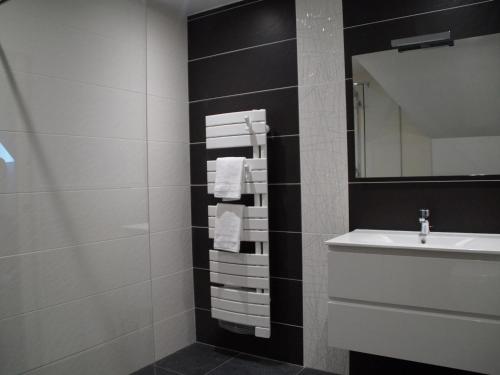 łazienka z umywalką i lustrem w obiekcie Studio de charme à la ferme près de Lille, 50m² avec cuisine équipée et parking sécurisé - FR-1-510-173 w mieście Halluin