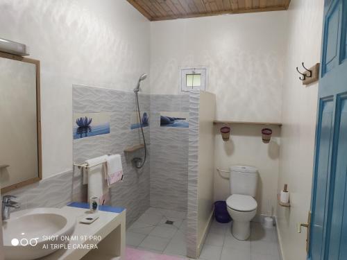 a bathroom with a shower and a toilet and a sink at Villa bel azur in Diego Suarez