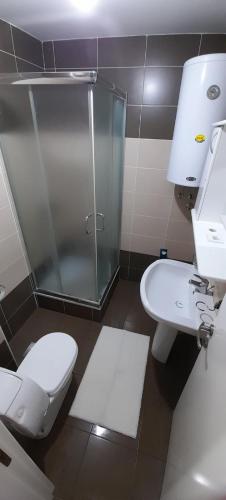 a bathroom with a toilet and a glass shower at Apartman President in Vrnjačka Banja