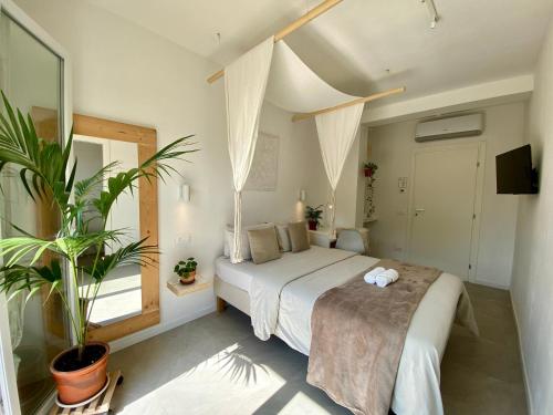 ein Schlafzimmer mit einem Bett und einer Topfpflanze in der Unterkunft Pathos Guest House in Quarto dʼAltino