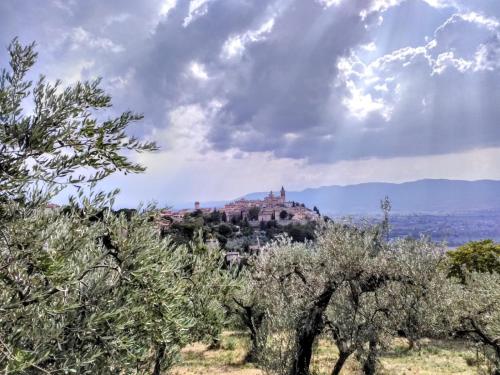 Foto dalla galleria di Il Panorama di Trevi a Trevi