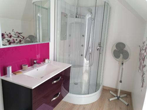 a bathroom with a sink and a shower at Chez Nicole in Ballon