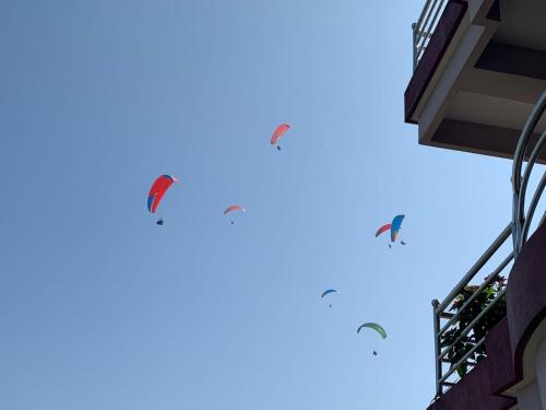 three birds flying in the sky above a building at Hotel Pristine Himalaya in Pokhara