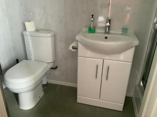 a bathroom with a toilet and a sink at Southbank Guesthouse in Elgin