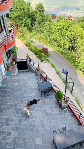 a dog laying on the ground in front of a building at Hotel Pristine Himalaya in Pokhara