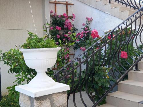 Κήπος έξω από το Apartment Preka