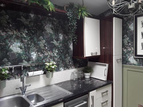 a kitchen with a sink and plants on the wall at Ballybur Lodge Mews 1 in Kilkenny