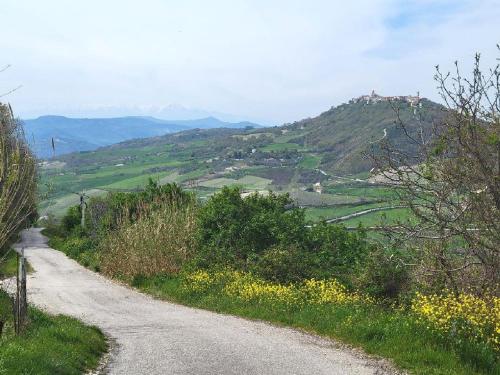 a dirt road with flowers on the side of a hill at Ancient Stone 'Casa Rosa'- Sea and Mountain View Tranquil Borgo in Tavenna
