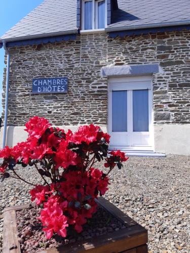 a flower pot with red flowers in front of a building at Les escargots du mont in Tanis