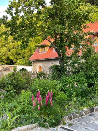 Zahrada ubytování Appartements Adam-Mühle