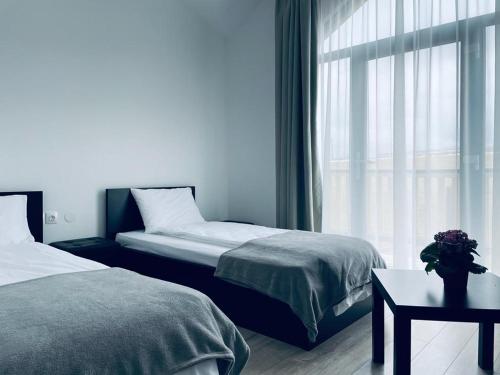 a bedroom with two beds and a window at Pensiunea CASA SPANDO in Mărişel