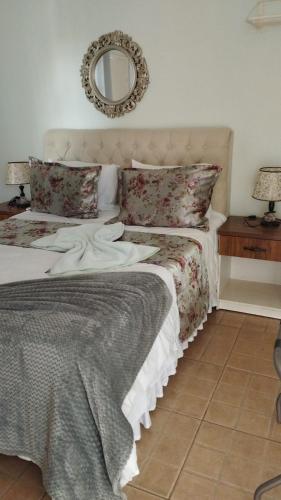 a bedroom with a bed and a mirror on the wall at Pousada das Seriemas in Pirenópolis