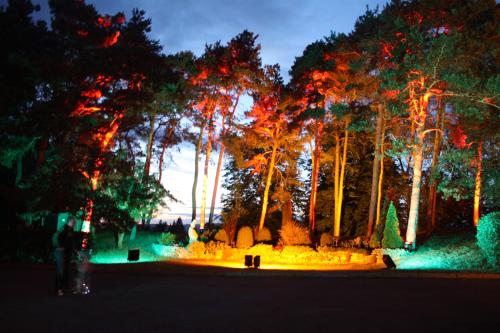 a person standing in a park with trees at night at Hotel & Restaurant Bergfried in Saalfeld