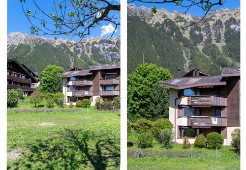 Chalet Petunia