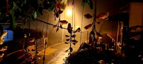 Imagen de la galería de La Posada de Juan B&B, en Santa Rosa de Copán