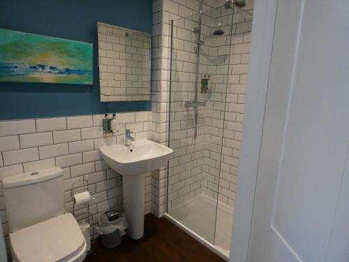 a bathroom with a toilet and a sink and a shower at The Sloop Inn in Kingsbridge