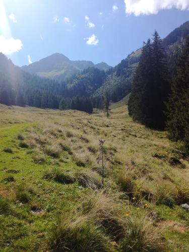 a field of grass with mountains in the background at Appartement Edelweiss mit Infrarotkabine in Großsölk
