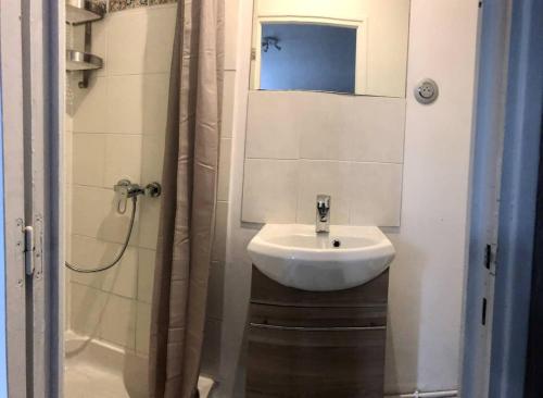 La salle de bains est pourvue d'un lavabo et d'une douche. dans l'établissement Les Gîtes de la Mare, à Saint-Manvieu