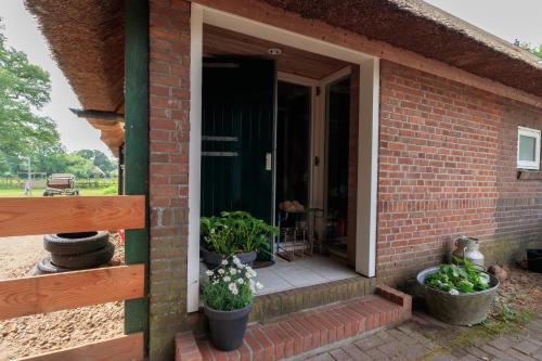an open door of a brick house with potted plants at Het Grote Paard in Havelte