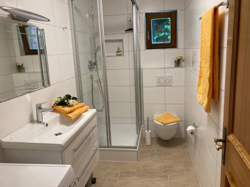 a bathroom with a shower and a sink and a toilet at Wessely Appartements am Golfplatz in Innsbruck