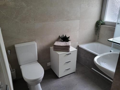 a bathroom with a toilet and a sink and a tub at Haus Belmont in Zermatt
