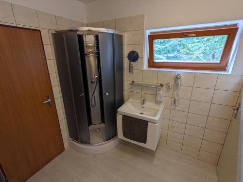 a bathroom with a shower and a toilet and a sink at Penzion Jezero in Vranov nad Dyjí