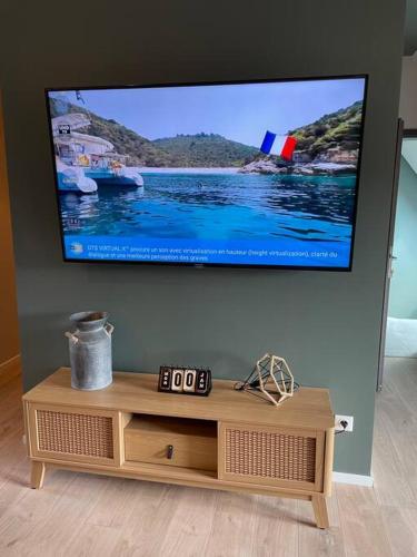 a flat screen tv hanging on a wall at LOFT neuf avec bain jacuzzi et terrasse in Colmar