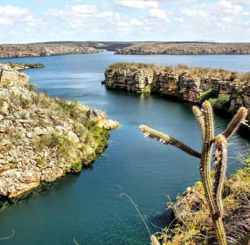 a view of a river with a cactus at Pousada Sertaneja in Canindé de São Francisco
