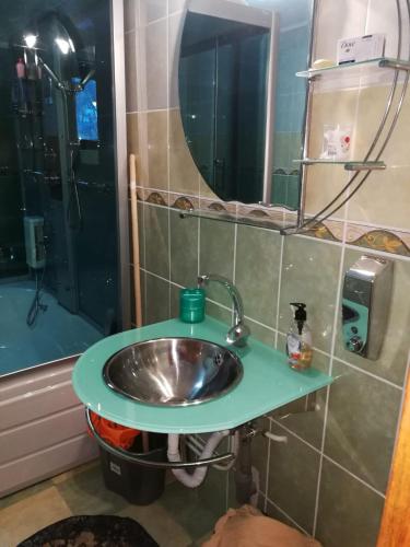 a bathroom with a sink and a shower at Casa Alesi in Dragoslavele