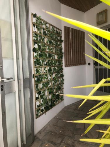 Gambar di galeri bagi Apartamentos Océano di Samieira