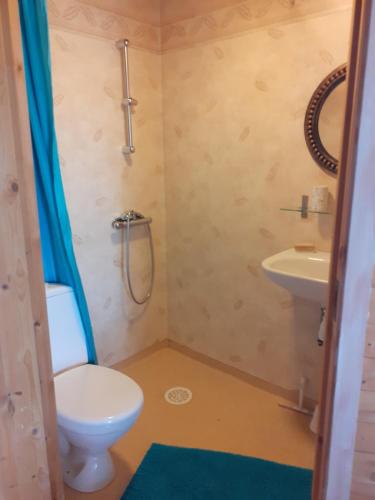 ein Badezimmer mit Toilette und Waschbecken in der Unterkunft Knutstorp Ranch in Tyringe
