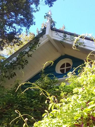 a house with a window on the side of it at Dodo House in Villa La Angostura