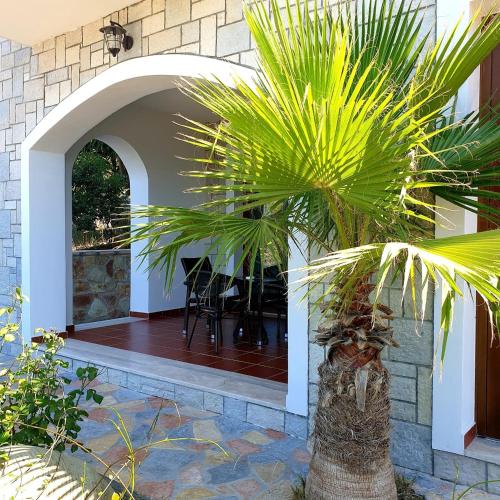 a palm tree in front of a house at Villa Kristiano 21 in Sarandë