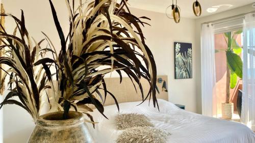 a plant in a vase sitting on a table at Hôtel La Grande Conque in Cap d'Agde